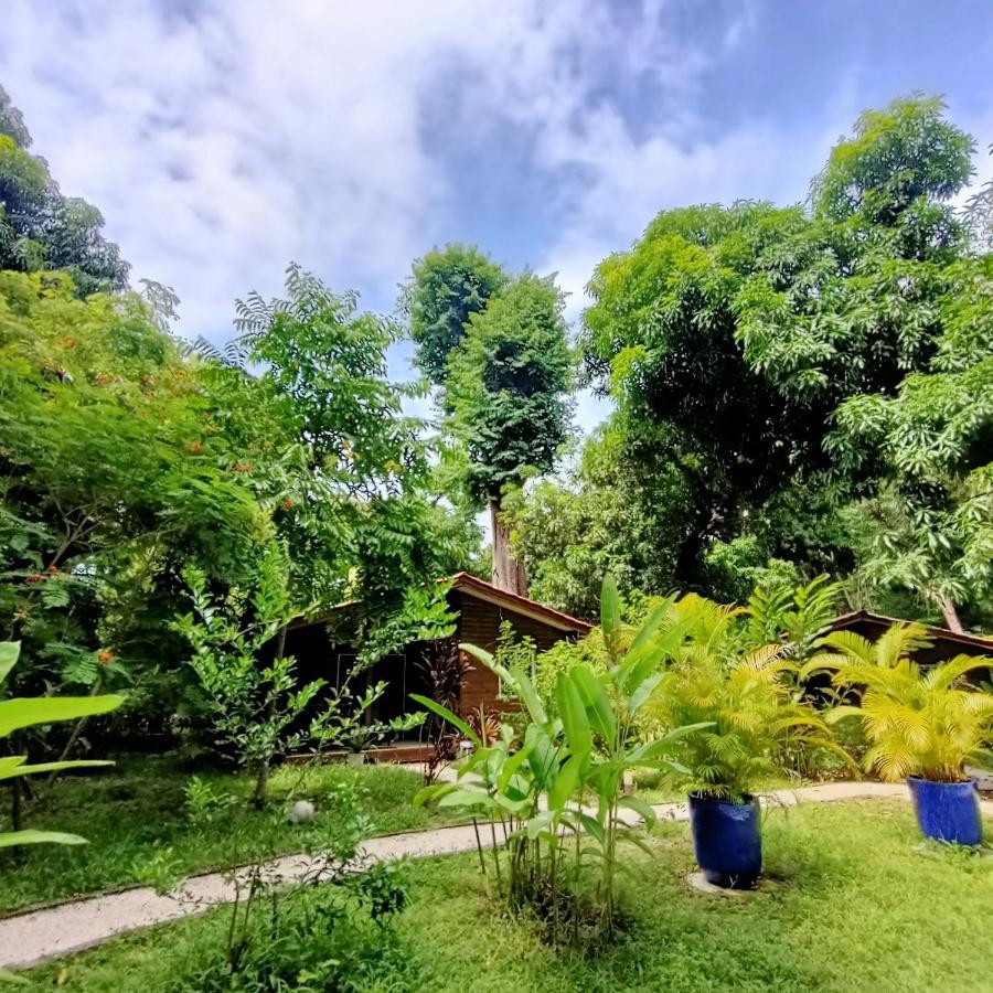 Boho Lodge Montezuma L&L المظهر الخارجي الصورة
